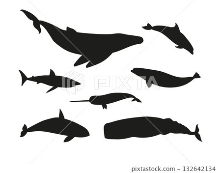 Vector set of flat hand drawn whales silhouette 132642134