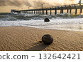 Coconut on the beach under a stormy sunset sky. 132642421