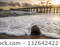 Coconut on the beach under a stormy sunset sky. 132642422