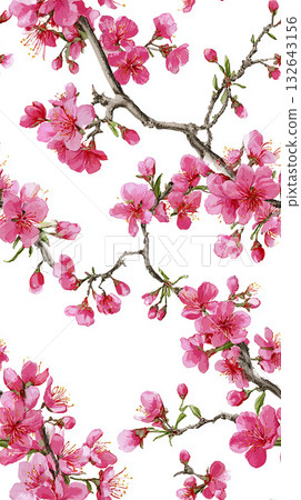 鮮豔的粉紅色櫻花(桃色)和棕色樹枝的插圖素材 鮮豔的粉紅色櫻花(桃色)和棕色樹枝的插圖素材 132643156