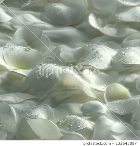 The texture of white petals conveys a sense of purity and cleanliness The texture of white petals conveys a sense of purity and cleanliness 132643887