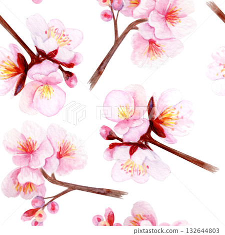 Cherry blossom branch with delicate pink petals seamless pattern. Hand-painted watercolor clip art isolated on white, perfect for spring decor, wedding invitations, Asian design, or floral projects Cherry blossom branch with delicate pink petals seamless pattern. Hand-painted watercolor clip art isolated on white, perfect for spring decor, wedding invitations, Asian design, or floral projects 132644803