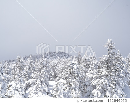 Winter Stock Images | Snowy Fields with Rime and Hoarfrost Winter Stock Images | Snowy Fields with Rime and Hoarfrost 132644953
