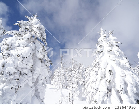 冬季圖片素材 | 覆蓋著霧凇和霜的雪地 冬季圖片素材 | 覆蓋著霧凇和霜的雪地 132644956