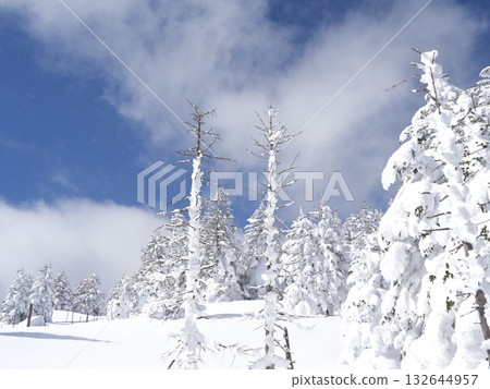 冬季圖片素材 | 覆蓋著霧凇和霜的雪地 冬季圖片素材 | 覆蓋著霧凇和霜的雪地 132644957