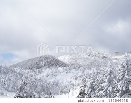 Winter in the Northern Yatsugatake Mountains | Snowy fields and frost-covered trees on the mountaintops connected by ropeway (Nagano, Shinshu) Winter in the Northern Yatsugatake Mountains | Snowy fields and frost-covered trees on the mountaintops connected by ropeway (Nagano, Shinshu) 132644958