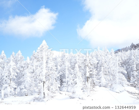 The Silver World of Northern Yatsugatake | Ropeway to the Sunny Peak, Blue Skies, and Snow Scenery 132644959