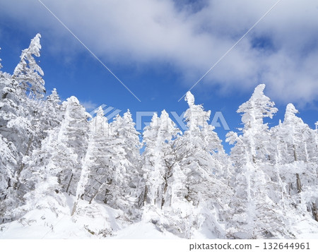 八岳北部的銀色世界 | 通往陽光之巔、藍天白雪的索道 132644961