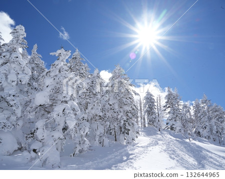 八岳北部的銀色世界 | 通往陽光之巔、藍天白雪的索道 132644965