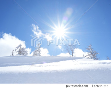 八岳北部的銀色世界 | 通往陽光之巔、藍天白雪的索道 八岳北部的銀色世界 | 通往陽光之巔、藍天白雪的索道 132644966