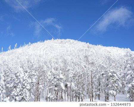八岳北部雪山全景 | 晴空萬裡，陽光燦爛，纜車 132644973