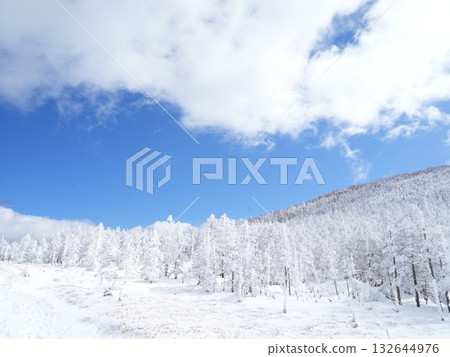 八岳北部雪山全景 | 晴空萬裡，陽光燦爛，纜車 132644976