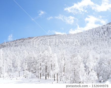 Panorama of the snowy mountains of Northern Yatsugatake | Clear blue sky, sunshine, and ropeway 132644978