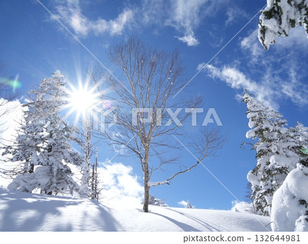 冬季素材 | 銀雪美景與藍天 冬季素材 | 銀雪美景與藍天 132644981