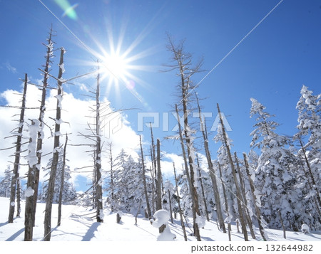 冬季素材 | 銀雪美景與藍天 132644982