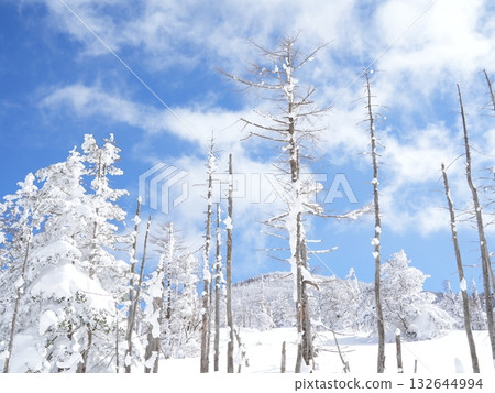 冬季圖片素材 | 覆蓋著霧凇和霜的雪地 冬季圖片素材 | 覆蓋著霧凇和霜的雪地 132644994