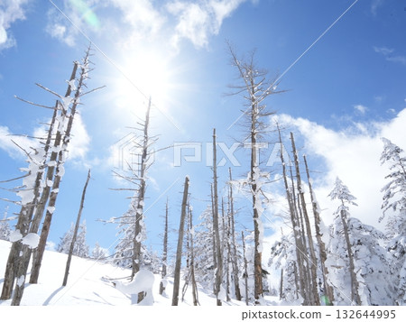 冬季圖片素材 | 覆蓋著霧凇和霜的雪地 132644995