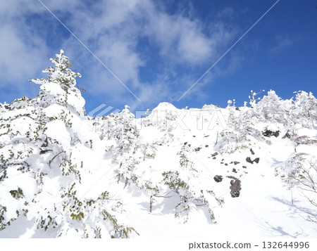 冬季圖片素材 | 覆蓋著霧凇和霜的雪地 冬季圖片素材 | 覆蓋著霧凇和霜的雪地 132644996