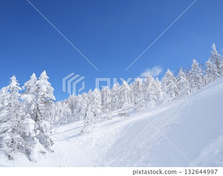 冬季圖片素材 | 覆蓋著霧凇和霜的雪地 132644997