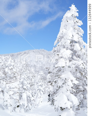 冬季素材 | 銀雪美景與藍天 132644999