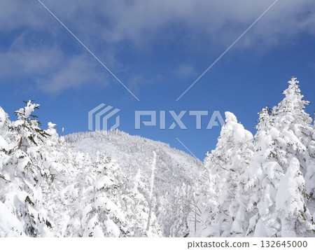 八岳北部雪山全景 | 晴空萬裡,陽光燦爛,纜車 八岳北部雪山全景 | 晴空萬裡,陽光燦爛,纜車 132645000