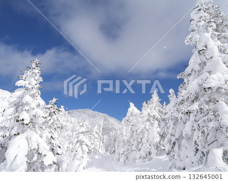 八岳北部雪山全景 | 晴空萬裡,陽光燦爛,纜車 八岳北部雪山全景 | 晴空萬裡,陽光燦爛,纜車 132645001
