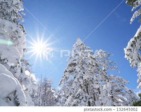 冬季素材 | 銀雪美景與藍天 132645002