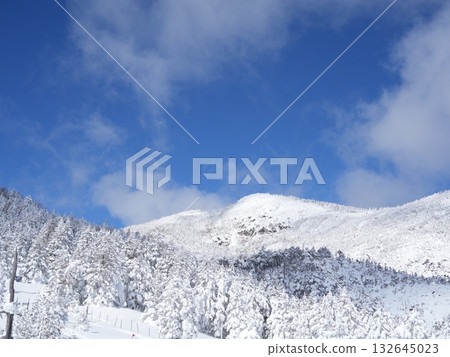 冬季圖片素材 | 覆蓋著霧凇和霜的雪地 冬季圖片素材 | 覆蓋著霧凇和霜的雪地 132645023