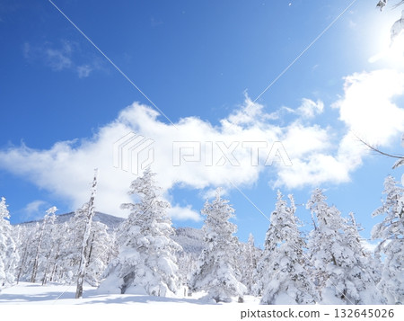 冬季圖片素材 | 覆蓋著霧凇和霜的雪地 冬季圖片素材 | 覆蓋著霧凇和霜的雪地 132645026