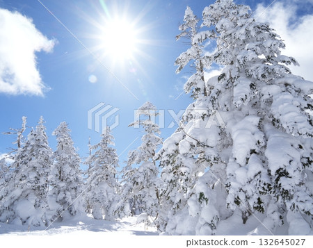 冬季圖片素材 | 覆蓋著霧凇和霜的雪地 冬季圖片素材 | 覆蓋著霧凇和霜的雪地 132645027