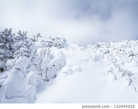 八岳北部雪山全景 | 晴空萬裡，陽光燦爛，纜車 132645028
