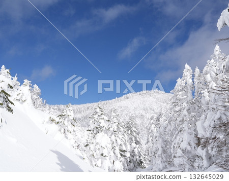 八岳北部雪山全景 | 晴空萬裡，陽光燦爛，纜車 132645029