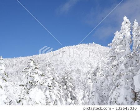 八岳北部雪山全景 | 晴空萬裡，陽光燦爛，纜車 132645030