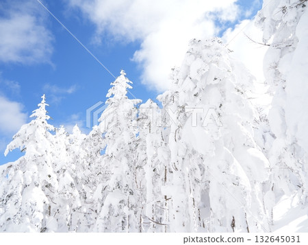 八岳北部雪山全景 | 晴空萬裡,陽光燦爛,纜車 八岳北部雪山全景 | 晴空萬裡,陽光燦爛,纜車 132645031