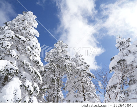 冬季圖片素材 | 覆蓋著霧凇和霜的雪地 冬季圖片素材 | 覆蓋著霧凇和霜的雪地 132645043