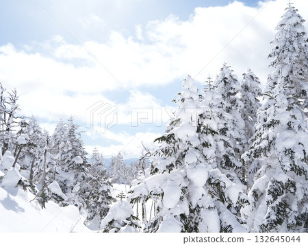 Winter Stock Images | Snowy Fields with Rime and Hoarfrost Winter Stock Images | Snowy Fields with Rime and Hoarfrost 132645044