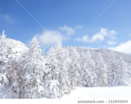 冬季圖片素材 | 覆蓋著霧凇和霜的雪地 132645045