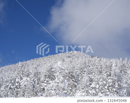 冬季圖片素材 | 覆蓋著霧凇和霜的雪地 冬季圖片素材 | 覆蓋著霧凇和霜的雪地 132645046