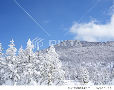 冬季素材 | 銀雪美景與藍天 132645053