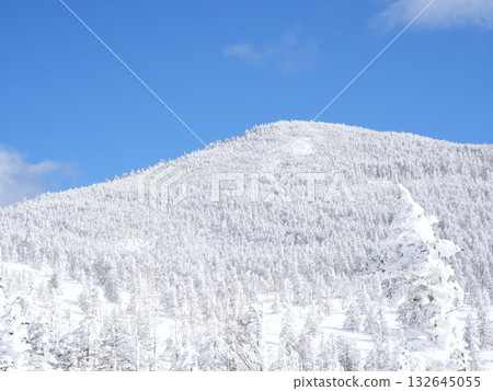 冬季素材 | 銀雪美景與藍天 132645055
