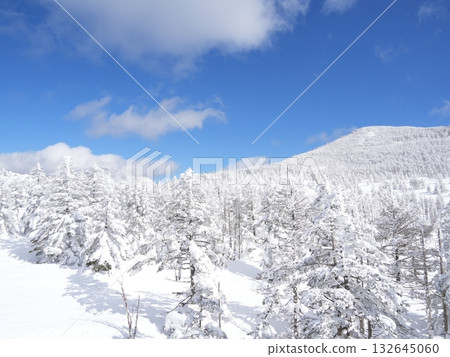 八岳北部雪山全景 | 晴空萬裡,陽光燦爛,纜車 八岳北部雪山全景 | 晴空萬裡,陽光燦爛,纜車 132645060