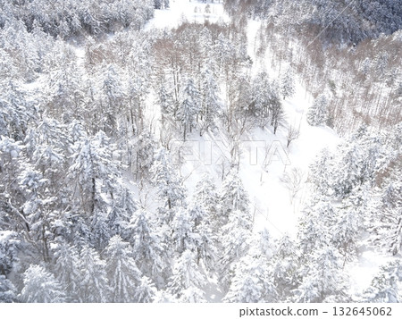 八岳北部雪山全景 | 晴空萬裡,陽光燦爛,纜車 八岳北部雪山全景 | 晴空萬裡,陽光燦爛,纜車 132645062