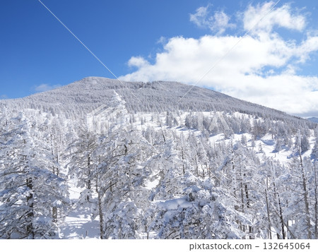 冬季素材 | 銀雪美景與藍天 132645064