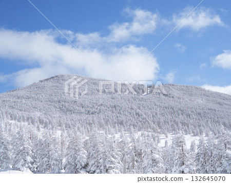 冬季素材 | 銀雪美景與藍天 132645070