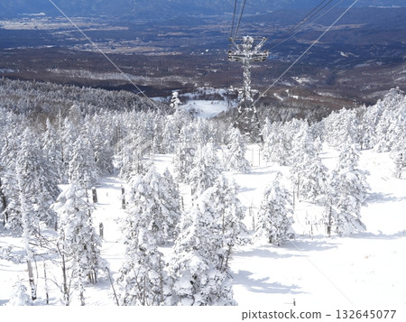 冬季圖片素材 | 覆蓋著霧凇和霜的雪地 132645077