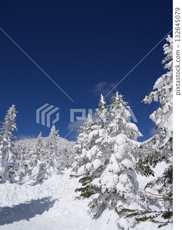 冬季圖片素材 | 覆蓋著霧凇和霜的雪地 冬季圖片素材 | 覆蓋著霧凇和霜的雪地 132645079
