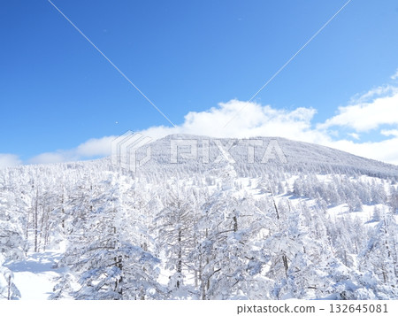 冬季圖片素材 | 覆蓋著霧凇和霜的雪地 132645081