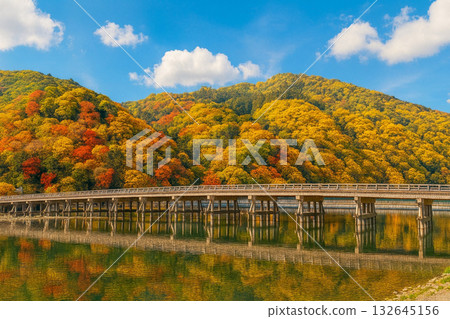 渡月橋秋葉 132645156