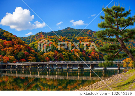 渡月橋秋葉 渡月橋秋葉 132645159