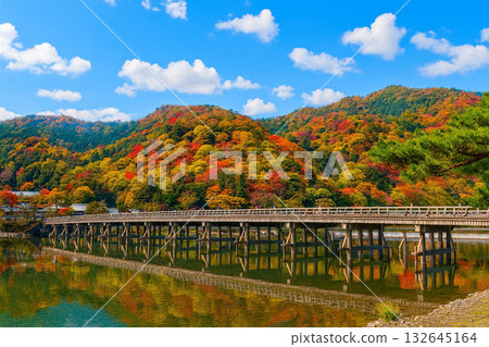渡月橋秋葉 132645164